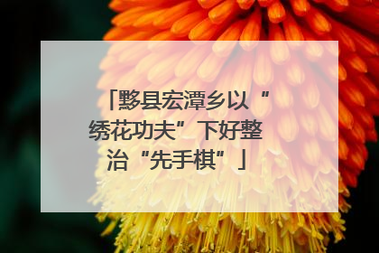 黟县宏潭乡以“绣花功夫”下好整治“先手棋”