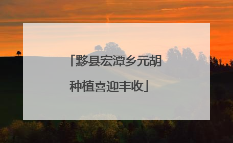 黟县宏潭乡元胡种植喜迎丰收