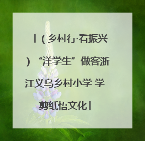 （乡村行·看振兴）“洋学生”做客浙江义乌乡村小学 学剪纸悟文化