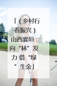 （乡村行·看振兴）山西襄垣：向“林”发力 借“绿”生金