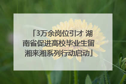 3万余岗位引才 湖南省促进高校毕业生留湘来湘系列行动启动