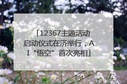 12367主题活动启动仪式在济举行，AI“悟空”首次亮相