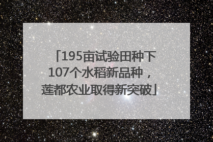 195亩试验田种下107个水稻新品种，莲都农业取得新突破