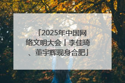 2025年中国网络文明大会丨李佳琦、董宇辉现身合肥