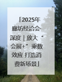2025年廊坊经洽会·深度｜放大“会展+”乘数效应 打造消费新场景