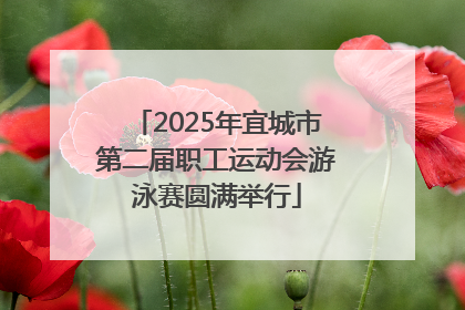 2025年宜城市第二届职工运动会游泳赛圆满举行