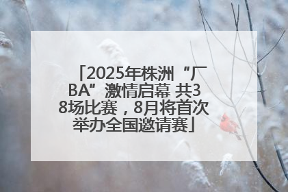 2025年株洲“厂BA”激情启幕 共38场比赛，8月将首次举办全国邀请赛