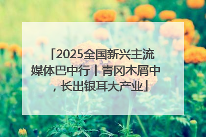 2025全国新兴主流媒体巴中行丨青冈木屑中，长出银耳大产业