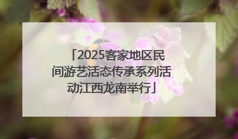 2025客家地区民间游艺活态传承系列活动江西龙南举行
