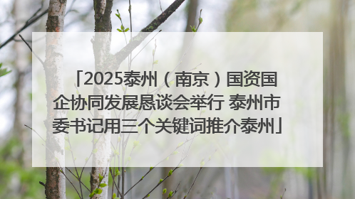 2025泰州（南京）国资国企协同发展恳谈会举行 泰州市委书记用三个关键词推介泰州