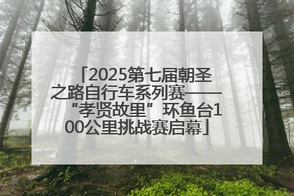 2025第七届朝圣之路自行车系列赛——“孝贤故里”环鱼台100公里挑战赛启幕