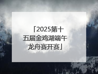 2025第十五届金鸡湖端午龙舟赛开赛