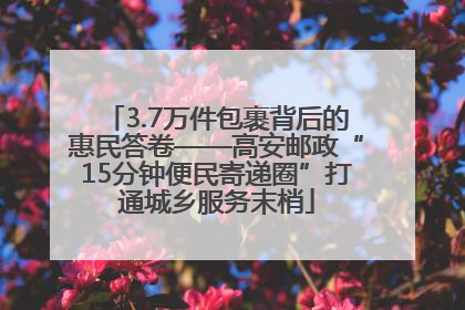 3.7万件包裹背后的惠民答卷——高安邮政“15分钟便民寄递圈”打通城乡服务末梢