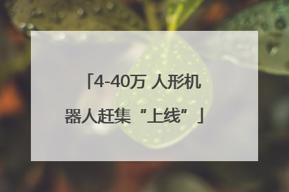 4-40万 人形机器人赶集“上线”