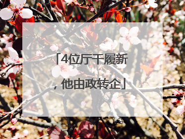 4位厅干履新，他由政转企