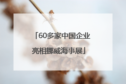 60多家中国企业亮相挪威海事展