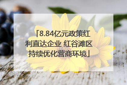 8.84亿元政策红利直达企业 红谷滩区持续优化营商环境