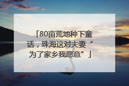 80亩荒地种下童话，珠海这对夫妻“为了家乡我愿意”