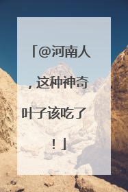@河南人，这种神奇叶子该吃了！