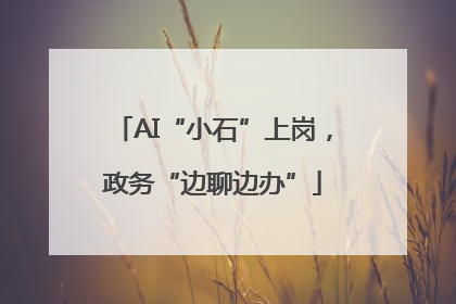 AI“小石”上岗，政务“边聊边办”