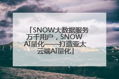 SNOW大数据服务万千用户，SNOW AI量化——打造亚太云端AI量化