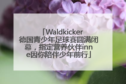 Waldkicker德国青少年足球赛圆满闭幕，指定营养伙伴inne因你陪伴少年前行
