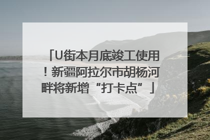 U街本月底竣工使用！新疆阿拉尔市胡杨河畔将新增“打卡点”